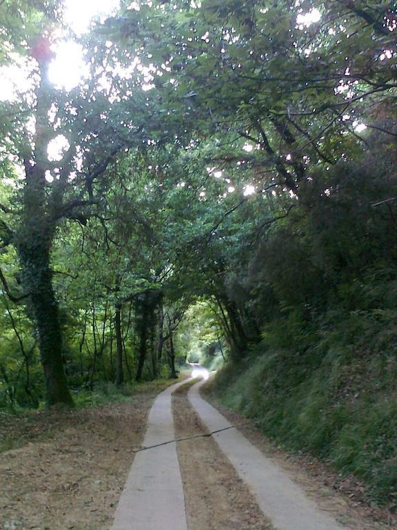Agriturismo Il Pillone Montecatini Terme Bagian luar foto